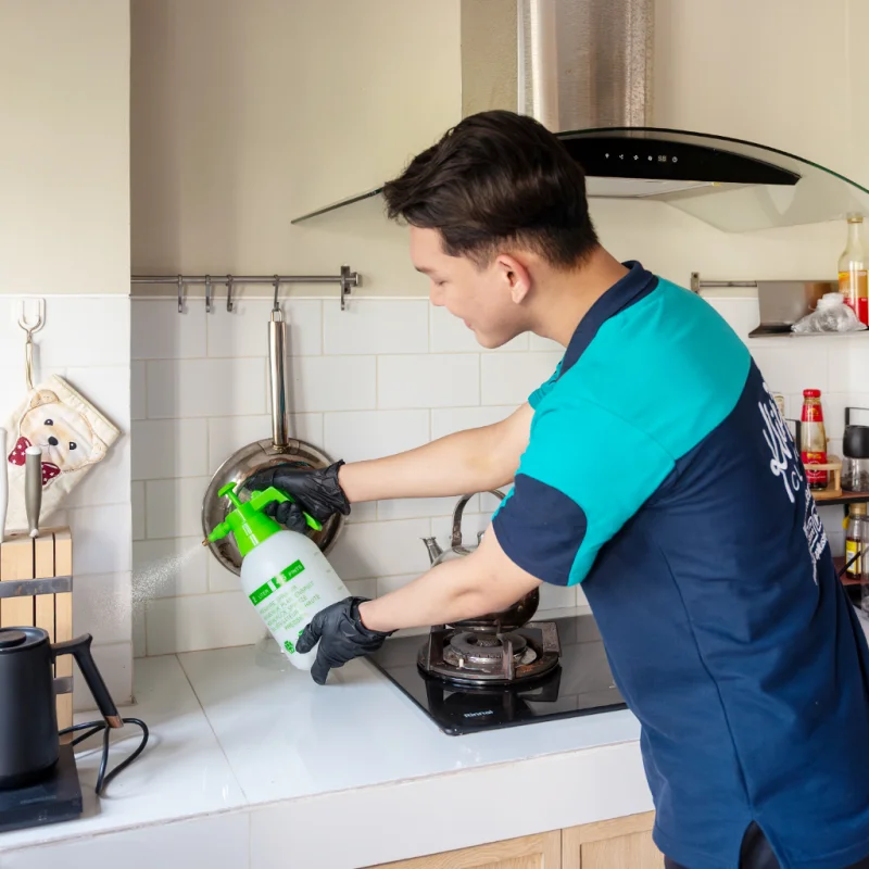 Pest Control KliknClean: helper menyemprotkan pestisida di area dapur